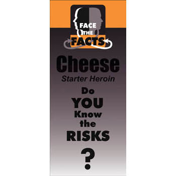 Face the Facts Drug Prevention Pamphlet   Cheese 25 pack